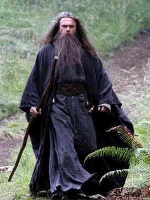 Merlin 1998, Costume Poses, Medieval Wizard, Wizard Robes, Sam Neill, Ren Faire Costume, Wizard Costume, Dark Wizard, Fantasy Wizard