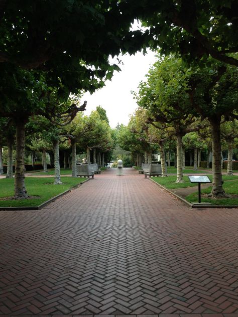 Platform of the Bell Tower on the Cal Berkeley campus Berkley California Aesthetic, Berkeley California Aesthetic, Berkeley Aesthetic, Berkley California, Berkeley Campus, Cal Berkeley, Book Mood, College Things, California Aesthetic