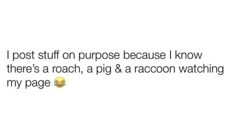 Yep! Hey y'all 🐖🪳🦝 Watching My Page Quotes, Watching My Page, Page Quotes, When Bae Busy Meme, Girlboss Quotes, How Roaches Look At You Meme, Ig Quotes, Entertaining Quotes, Girl Boss Quotes