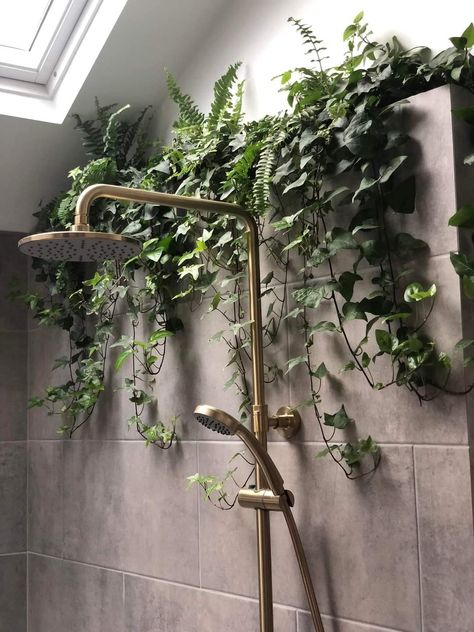 Bath Plants Decor, Plants In Shower Hanging, Shower Plant Ideas, Plant Wall Bathroom, Bathroom Plant Wall, Plants In Shower, Bathroom Plants Decor, Boho Decor Ideas, Future Apartment Decor