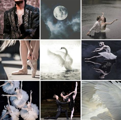 Mc Clothes, Bohemian Goth, Ballet Recital, Swan Lake Ballet, Swan Princess, Artistic Pictures, Fairytale Fantasies, Moodboard Aesthetic, Punk Scene