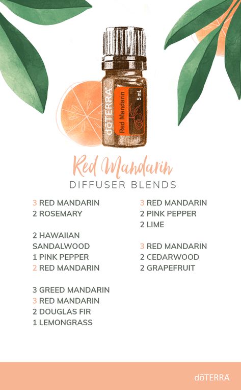 Red Mandarin essential oil provides a sweet, almost floral aroma. Diffuse these fresh Red Mandarin blends and love what you smell! Red Mandarin Diffuser Blends, Green Mandarin Diffuser Blends, Red Mandarin Doterra, Mandarin Essential Oil Blends, Doterra Geranium Diffuser Blends, Doterra Tangerine Diffuser Blends, Doterra Citrus Bliss Diffuser Blends, Mandarin Essential Oil, Essential Oils For Headaches