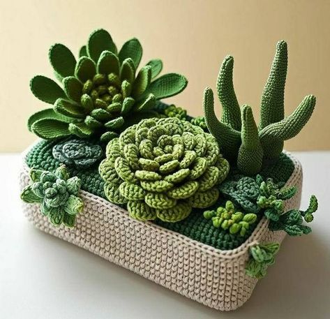 Plants Crochet, Crochet Succulent, Scrap Yarn Crochet, Crochet Garden, Crochet Flowers Easy, Crochet Cactus, Crochet Bouquet, Easy Crochet Projects, Crochet Plant