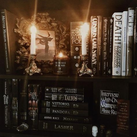 Gothic Study, Modern Dragon, Gothic Shelf, Goth Academia, Witchy Bedroom, Gothic Academia, Aesthetic Bedrooms, Witchy Boho, Gothic Books