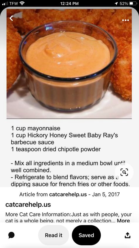 Red Robin Campfire Sauce, Campfire Sauce, Copycat Restaurant Recipes, Homemade Seasonings, Red Robin, Cat Recipes, Homemade Sauce, Aioli, Whole 30