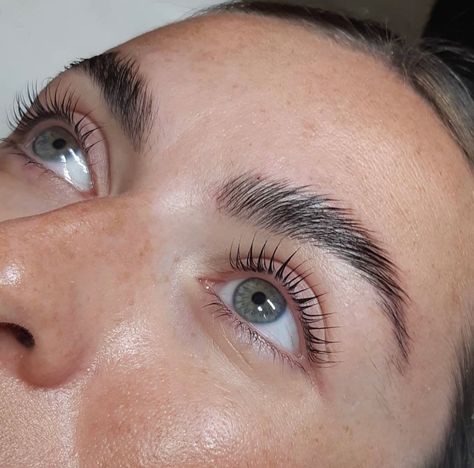 Lash And Brow Lamination, Brow And Lash Lamination, Lamination Lashes, Lash And Brow Lift, Lash Lamination, Lvl Lashes, Brow Styling, Arched Eyebrows, Lash Lifting