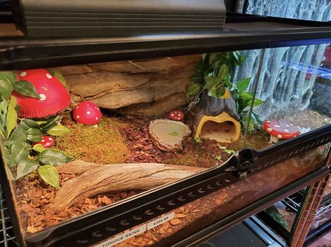 Snake Cage Setup, Fairy Garden Reptile Enclosure, Aesthetic Leopard Gecko Tank, Snake Tanks Ideas, Themed Snake Enclosure, Cute Reptile Enclosure, Fairy Garden Leopard Gecko Tank, Cute Snake Tank Ideas, Aesthetic Snake Enclosure