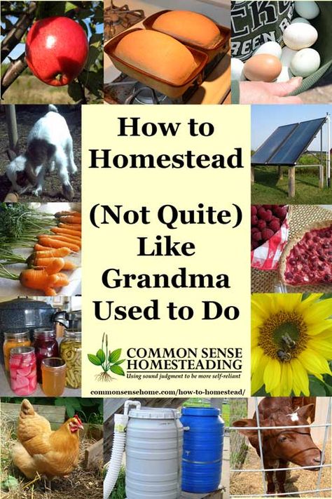 How to Homestead - (Not Quite) Like Grandma Used to Do Homesteading Diy, Homestead Farm, Homesteading Skills, Homestead Living, Urban Homesteading, Mini Farm, Living Off The Land, Homestead Survival, Farms Living