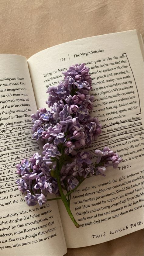 #aesthetic #lilac #book #books #bookworm #thevirginsuïcides #flowers #flower #spring #plants #plant #tree #trees Wilted Flowers Aesthetic, Lilac Book, Purple Flower Aesthetic, Wilted Flowers, Lilac Tree, Plant Tree, Spring Plants, Purple Flower, Purple Flowers