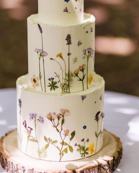 All Posts • Instagram Wild Flower Wedding Cake, Wildflower Wedding Cake, Wedding Cake Forest, Wildflower Cake, Wild Flower Wedding, Whimsical Wedding Cakes, Flower Wedding Cake, Red Birthday Cakes, Wildflower Wedding Theme