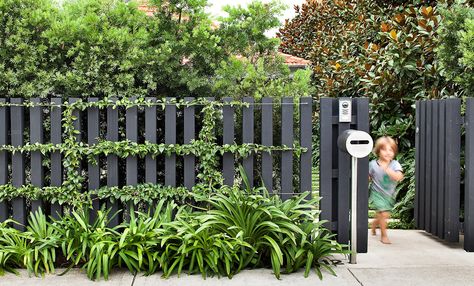 Will have to paint the fence this color... Love this black picket fence Pagar Modern, Black Fence, Front Fence, Garden Vines, Front Yard Fence, Fence Landscaping, Modern Fence, Casa Exterior, Backyard Fences