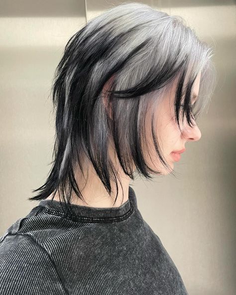 Haircut + silver color + black tips = @3liksir Colour Short Hair Ideas, Black Hair Silver Tips, Silver To Black Hair, Silver Hair With Black Tips, Black And Silver Short Hair, Hair Dye Black And Blonde, White Hair With Black Highlights, Black And Silver Hair Short, Black And White Hair Ideas