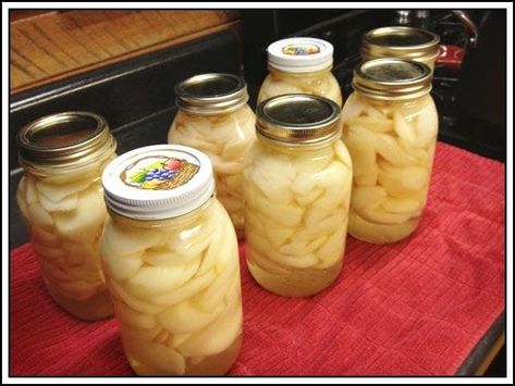 Apple Pie Filling To Can, How To Can Pears, Can Pears, Canning Pears, Making Apple Pie, Canned Pears, Pear Jam, Homemade Pantry, Canned Apples