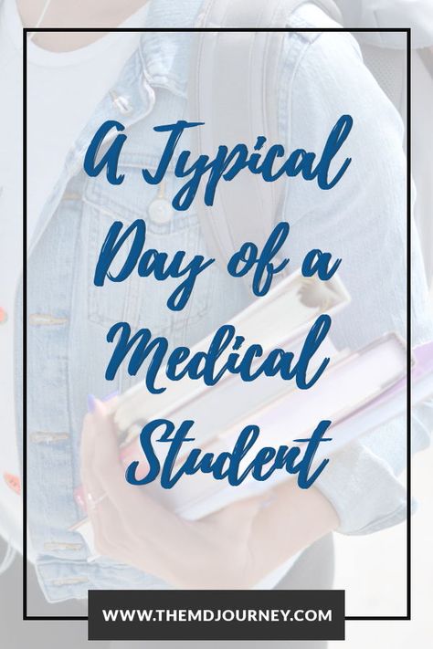 Day In The Life Of A Medical Student, Digestive System Model, Medical School Interview, Study Things, Getting Into Medical School, Medical School Gift, Study Medicine, Medical Jokes, Medical Life