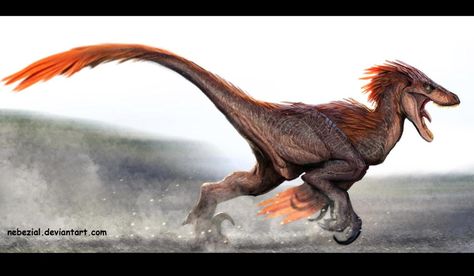 Velociraptor (?); Late Cretaceous (75–71Ma); Theropod; Discovered by Osborn, 1924; Artwork by Nebezial(?); note: possibly velociraptor Feathered Velociraptor Art, Dinosaur With Feathers, Raptor With Feathers, Feathered Raptor Art, Velociraptor Feathers, Deinonychus Art, Feather Dinosaur, Feathered Velociraptor, Dinosaur Feathers