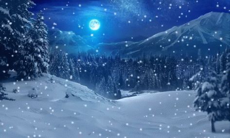 Snow falls during the night in the moonlight Snow Falling Gif, Christmas Live Wallpaper, Falling Gif, Anime Snow, Snow Gif, Gif Background, Scene Wallpaper, Snow Forest, Winter Background