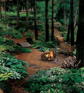 Wooded Landscaping, Forest Garden, Garden Guide, The Secret Garden, Woodland Garden, Beautiful Backyards, Shade Plants, Futurism, Outdoor Fire