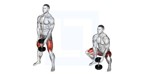 Squat Mobility, Squat Form, Dumbbell Workouts, Squat Press, Squat Hold, Squat Variations, Lower Body Muscles, Latissimus Dorsi, Sumo Squats