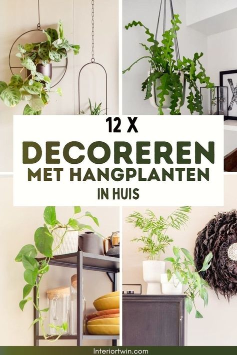 Hangplanten voegen een vleugje frisheid en stijl toe aan elke ruimte. Ontdek hier inspirerende manieren om ze in je huis te integreren. 🏡💚 #GroenDecor #Interieurinspiratie Meditation Room, Urban Jungle, New Homes, New Home, Van, Plants