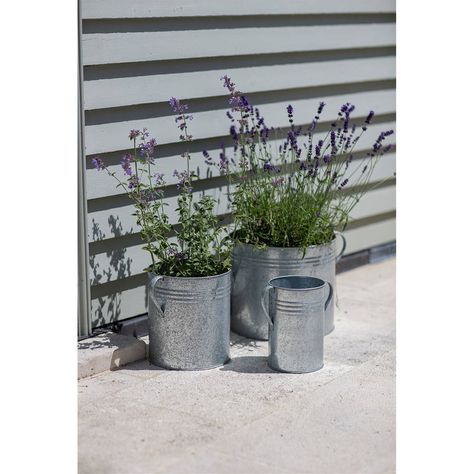 Galvanised Steel Round Garden Planters / Set Of Three Garden Lounge Chairs, Metal Garden Benches, Indoor Watering Can, Rectangle Planters, Stone Plant, Favourite Flowers, Bamboo Garden, Hydrangea Not Blooming, Garden Steps