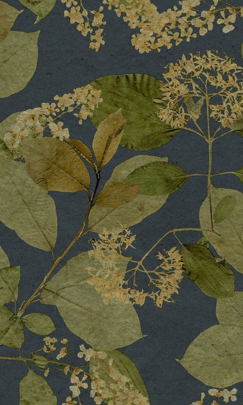 Midnight Blue Tropical Leaves Wallpaper R9132 – Walls Republic US Nature Wallpaper For Walls Interiors, Juniper Forest Wallpaper Bathroom, Built In With Wallpaper Back, Cottage Bathroom Wallpaper, Wallpaper Ceiling Dining Room, English Country Wallpaper, Botanical Wallpaper Bedroom, Fall Landscape Wallpaper, Leafy Wallpapers