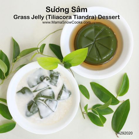 Thai Jelly Dessert, Grass Jelly Dessert, Grass Jelly Dessert Coconut Milk, Vietnamese Coconut Jello, Pandan Jelly Dessert, Pandan Jelly, Homemade Vinegar, Vietnamese Desserts, Grass Jelly