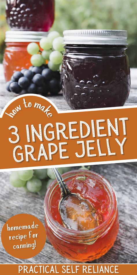 How to Make 3 Ingredient Grape Jelly - If you're looking for grape jelly recipes for canning, you'll love this homemade grape jelly. Learn how to make homemade grape jelly from fresh grapes or grape juice, pectin, and sugar. Incudes easy, step by step instructions for canning! Grape Juice Jelly Canning Recipe, Recipe For Grape Jelly, Grape Jelly For Canning, Easy Homemade Grape Jelly, Fresh Grape Jelly Recipe, Healthy Grape Jelly, Canning Grape Jelly From Juice, Grape Jelly From Juice Recipe, Grape Jelly Recipe From Juice