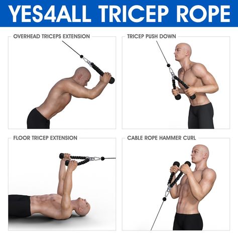 Biceps Training, Fitness Studio Training, Push Workout, Bicep Muscle, Gym Antrenmanları, Rope Pulls, Home Gym Exercises, Biceps And Triceps, Workout Results