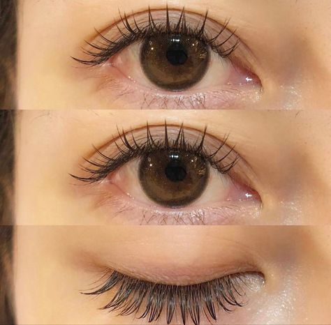 Natural Fake Eyelashes, Bentuk Alis, Lash Extentions, Lash Extensions Makeup, Girl Hair Colors, Eyelash Extensions Styles, Cute Eye Makeup, Perfect Eyelashes, Volume Eyelash Extensions