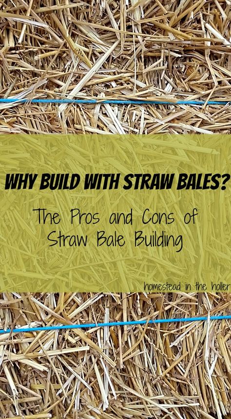 Why Build With Straw Bales? - Homestead In The Holler Straw Bale Home Plans, Diy Straw Bale House, Strawbale House Modern, Straw House Construction, Hay Bale House, Straw Bale House Plans, Straw House, Strawbale House, Straw Bale Building