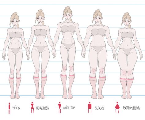 Body Type Drawing, Body Drawing Tutorial, Human Anatomy Art, Body Reference Drawing, Body References, Anatomy References, Reference Drawing, Body Anatomy, Drawing Refs