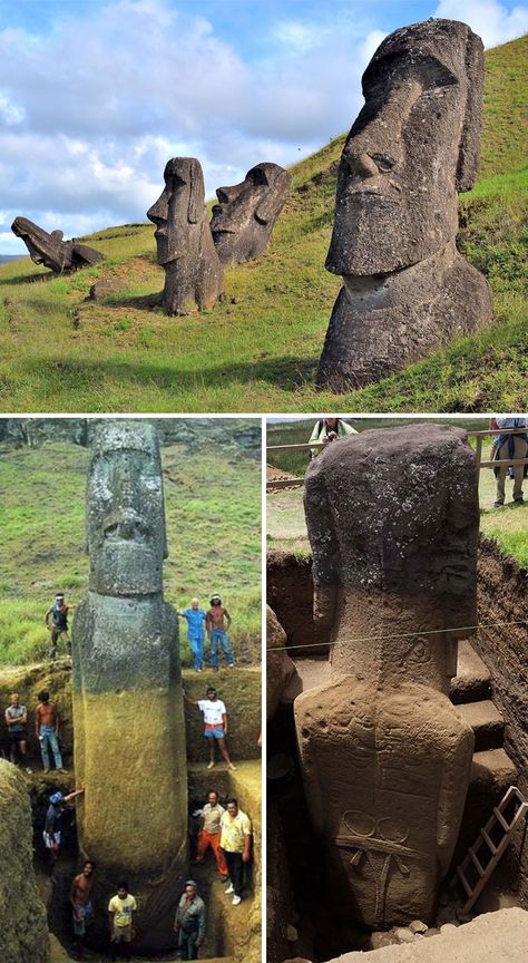 The Giant Heads Of Easter Island Do Have Bodies Photos Rares, Eclipse Solar, Glass Frog, Sperm Whale, Ice Crystals, Easter Island, Amethyst Geode, La Face, Rare Photos