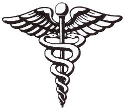 Health career Logo Caduceus Tattoo, Medical Drawings, Tattoo Son, Medical Tattoo, Nurse Tattoo, Lily Munster, Tattoo Health, Health Symbol, Yvonne De Carlo