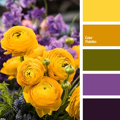 Violet Color Palette, Color Palette Purple, Wallpapers Purple, Palette Green, Purple Color Palette, Yellow Palette, Purple Color Palettes, Color Palette Yellow, Color Schemes Colour Palettes