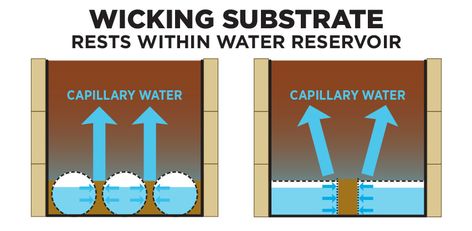 Wicking Substrate Diagram of SIP Self-Watering Raised Bed Water System For Raised Garden Beds, Garden Bed Watering System, Pnw Gardening, Diy Self Watering Planter, Plant Beds, Pot Gardening, Self Watering Containers, Watering Plants, Self Watering Pots