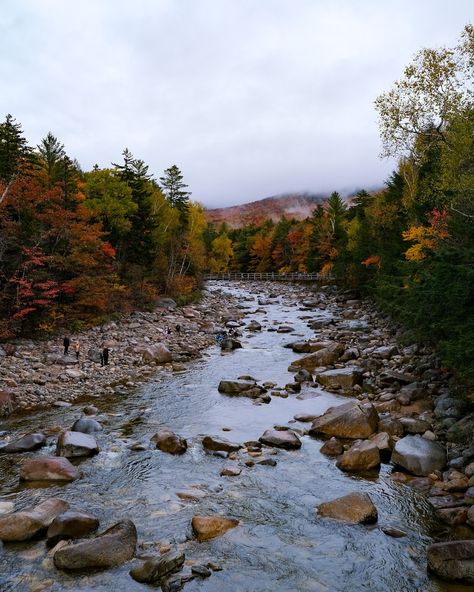 hello from New England, specifically New Hampshire currently 🍂🍁🤎 these were my favorites from yesterday, driving the moody Kancamagus Highway - which we are doing again today since the weather is clear. ••• 📸: #fujifilmxt30 Mount Monadnock New Hampshire, New Hampshire White Mountains, Durham New Hampshire, Kancamagus Highway, Portsmouth New Hampshire, Museum Studies, Environmental Studies, White Mountains, Not Ready