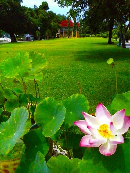 Ayutthaya, Thailand  http://www.zorpia.com/ Ayutthaya Thailand, Love Of Your Life, Romantic Destinations, Romantic Places, Make New Friends, Meeting New People, New People, New Friends, All Over The World