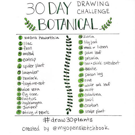 30 Day Botanical Drawing Challenge Sketchbook Prompts, Ideas Sketchbooks, 30 Day Art Challenge, Watercolour Challenge, Art Journal Challenge, Sketchbook Challenge, Drawing Challenges, 30 Day Drawing Challenge, Art Challenges