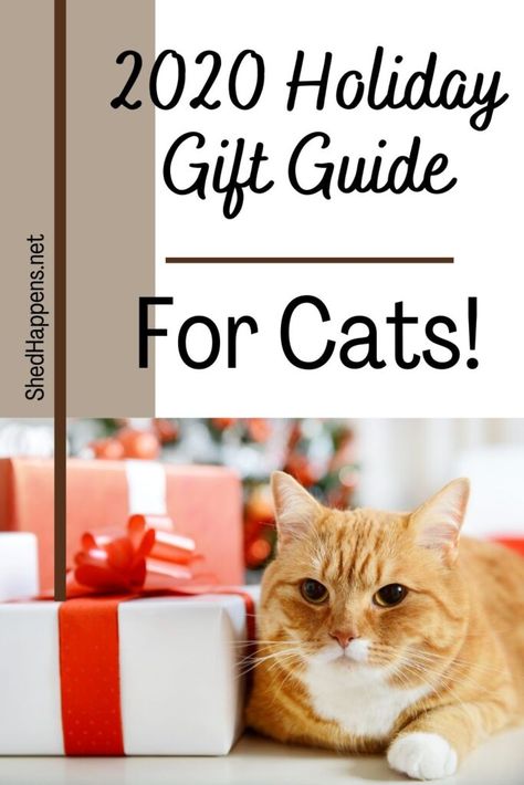 2020 Holiday Gift Guide: Cat Gifts for Your Feline Friend - Shed Happens Gifts For Cats, Cat Gift Ideas, Cardboard Cat Scratcher, Cat Scratchers, Homemade Cat, Senior Cat, Interactive Cat Toys, Pet Holiday, Bird Toys