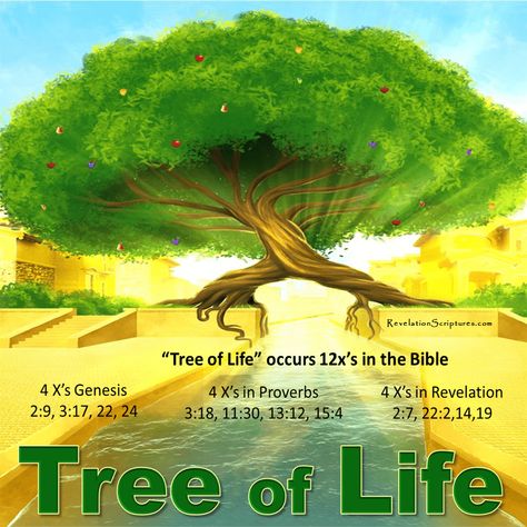 Tree Of Life Bible, Tree Of Life Explained, Garden Of Eden Tree Of Life, The Kemetic Tree Of Life, Revelations Bible End Time, Jesus Tree, Tree Of Life Meaning, Revelation Bible Study, Bible Overview