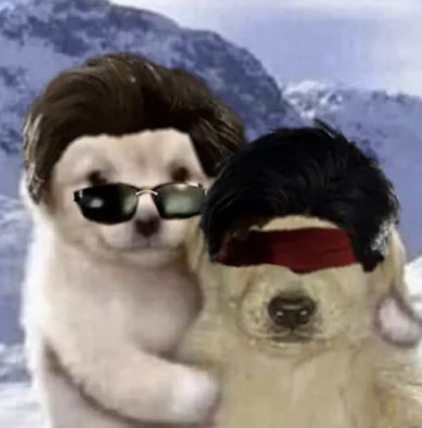 mk1 johnny cage x kenshi takahashi puppies Kenshi Takahashi, Johnny Cage, Funny Cartoon Gifs, Funny Video Memes, Spirit Animal, Funny Images, Game Art, Profile Picture, Puppies