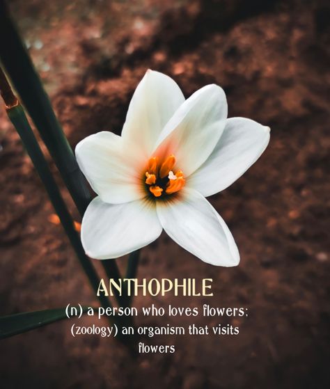 Flower Lover Word, Flowers Lovers Quotes, Anthophile Aesthetic, Flower Lover Quotes, A Person Who Loves Flowers, Love Lines For Him, Personality Words, Aesthetic Usernames, English Thoughts