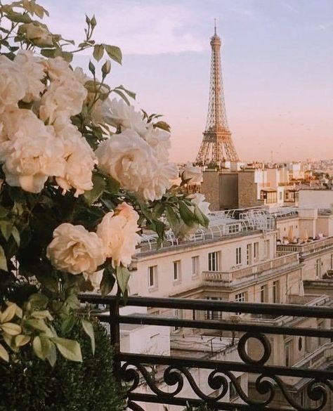 Fancy Paris Aesthetic, Fancy Apple Watch Wallpaper, Pairs Aesthetic Wallpaper, Cozy Coquette, Rose Gold Aesthetic, French Aesthetic, Paris Dream, France Aesthetic, Paris Wallpaper