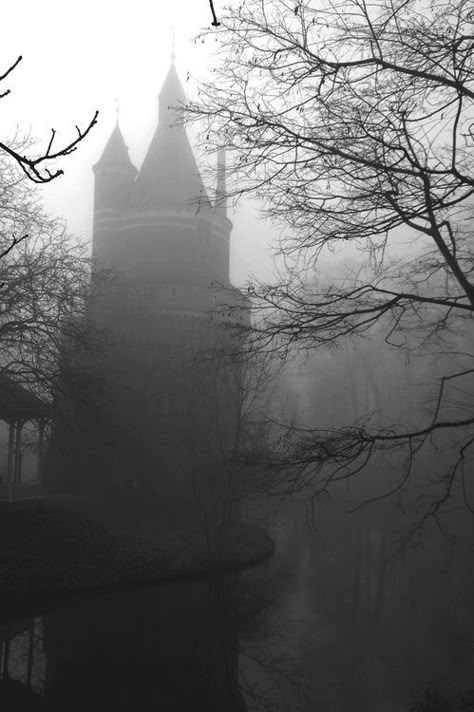 Paradis Sombre, Images Terrifiantes, Spooky Places, Foggy Forest, Gothic Aesthetic, Hauntingly Beautiful, Haunted Places, Haunted Houses, Dark Places