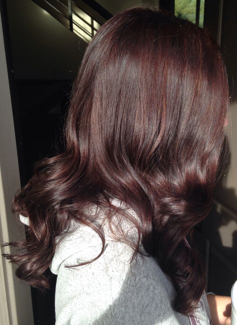 Cherry Brown Hair, Summer Hair Color Ideas, Mahogany Hair, Bombshell Hair, Trendy Shades, Red Hair Inspo, Wine Hair, Brown Hair Looks, Cherry Hair