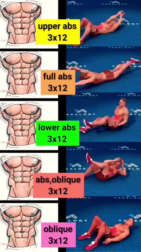 upper abs,lower abs,full abs and oblique workout😱😱 #workout #bodybuilder #exercise #gymworkout #bodybuilding #gym #gymlife | Fitness Voult | Full Abs Workout, Intense Home Workout, Obliques Workout, Full Ab Workout, Abs And Obliques Workout, Upper Abs, Bodybuilding Workouts Routines, Oblique Workout, Bodybuilding Workout Plan