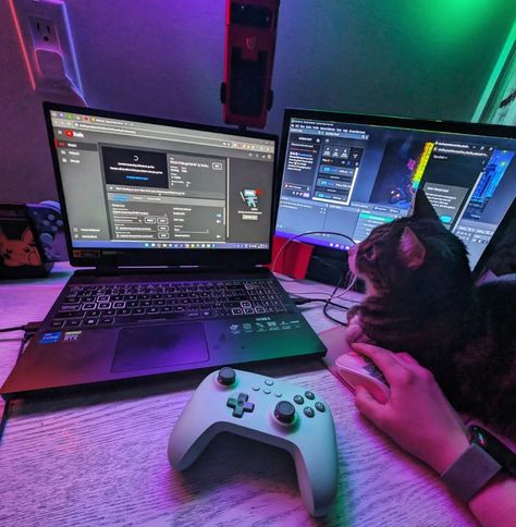 Trying to get ready to stream but your cat just wants to watch the cursor. 🤣 . . . #streaming #twitchstreamer #twitch #streamer #catparent #catmom #gamingsetup #desksetup #pcgaming Twitch Streamer, Cat Parenting, Desk Setup, Gaming Setup, Gaming Pc, Cat Mom, Get Ready, Collage, On Instagram