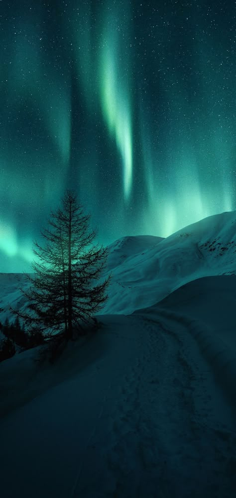 Uncover secrets to viewing the stunning aurora borealis northern lights. Best times, locations, and tips await! Norway Wallpaper, Northern Lights Wallpaper, Northern Lights Photo, Northern Lights Photography, Northern Lights (aurora Borealis), Aurora Borealis Northern Lights, Pretty Landscapes, The Aurora, Landscape Wallpaper