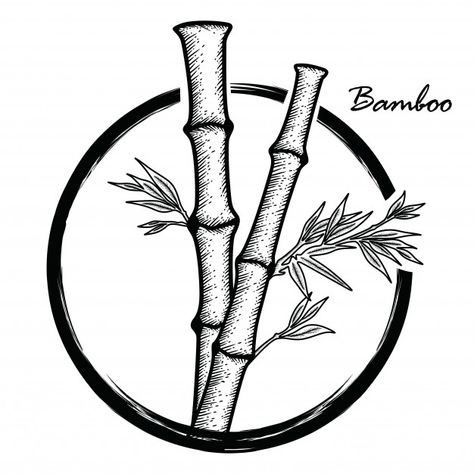 Hand drawn bamboo Premium Vector | Premium Vector #Freepik #vector #logo #vintage #tree #travel Kayak Art, Bamboo Drawing, Book Of Five Rings, Japan Icon, Japanese Icon, Panda Illustration, Bamboo Tattoo, Logo Hipster, Logo Illustration Design