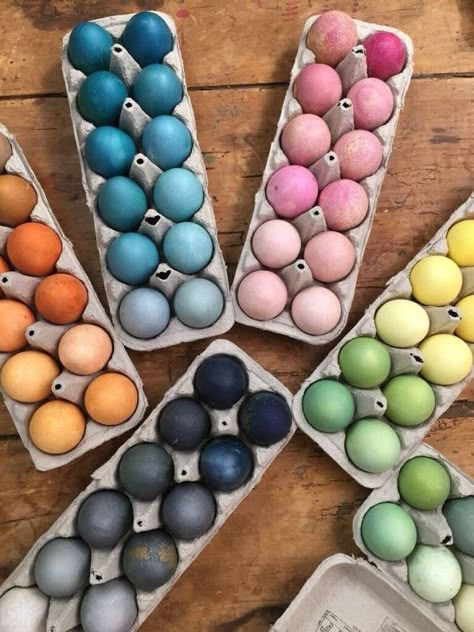 Whole Foods Naturally Dyed Easter Eggs Natural Egg Dye, Natural Easter Eggs, Naturally Dyed Easter Eggs, Colored Eggs, Egg Dye, Easter Egg Dye, Spring Equinox, Coloring Eggs, Coloring Easter Eggs